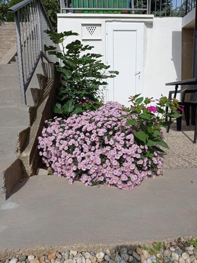 Apartment Zlatko มาทุลยี ภายนอก รูปภาพ